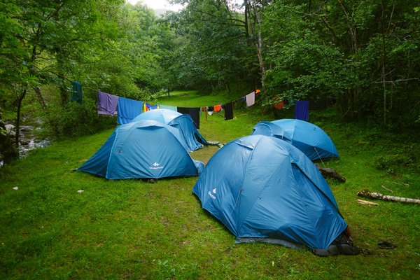 Camping fontainebleau : votre escapade nature incontournable
