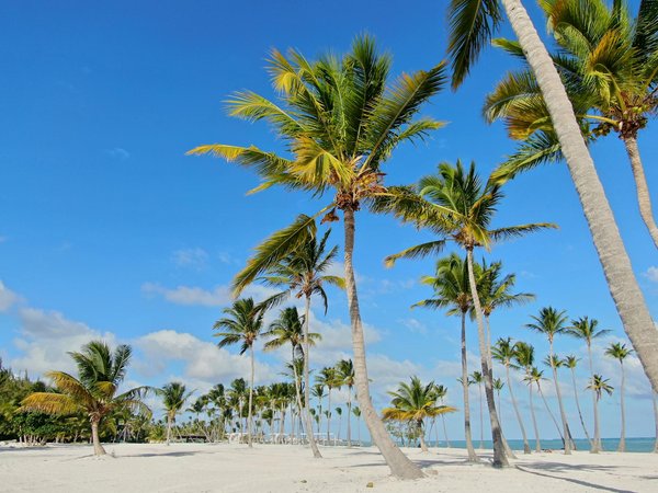 Découvrez les meilleures options de camping dans les Landes