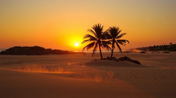 Camping à agde : entre éco-chic et plages dorées !