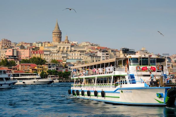 Comment organiser une croisière pour découvrir les traditions viticoles en Argentine?