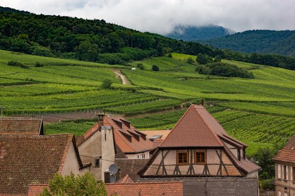 Quels sont les critères pour choisir une location de vacances en Alsace avec des ateliers de cuisine locale et des randonnées en montagne?